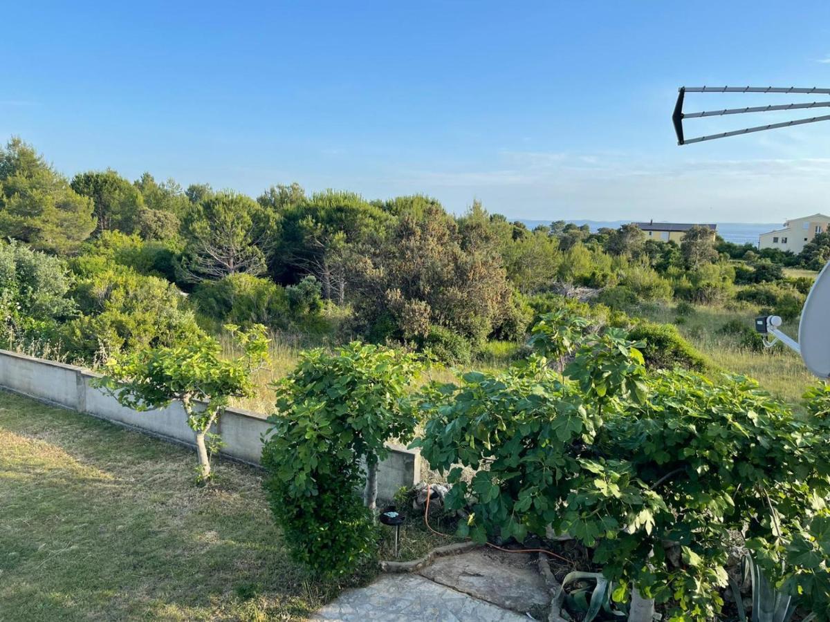 Apartment Bagic Vir Luaran gambar